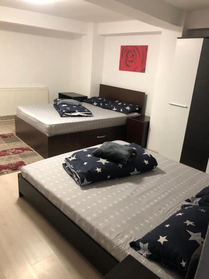 Hostel Mialma Onesti Exteriör bild